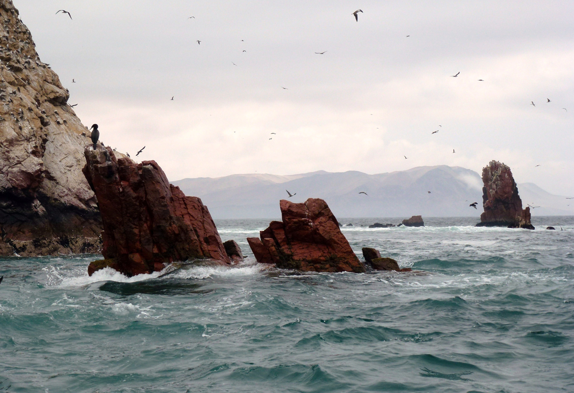 Paracas