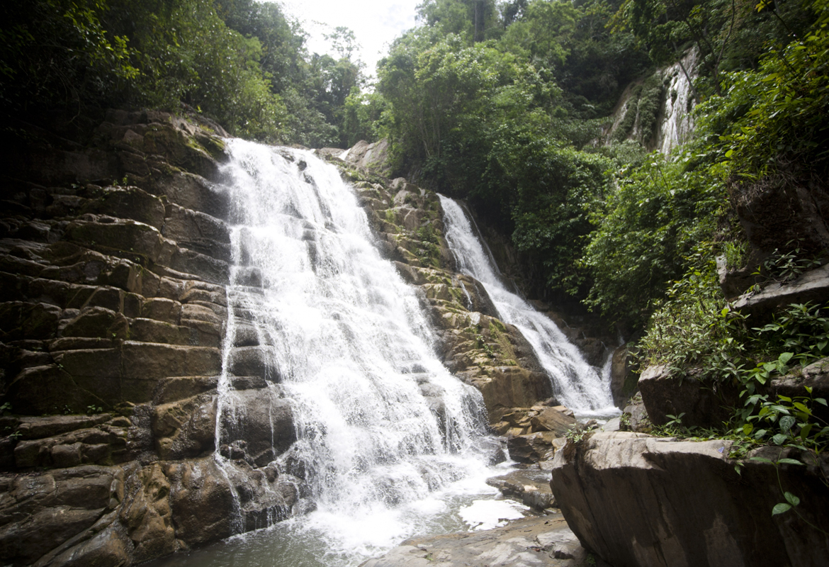 Selva Central